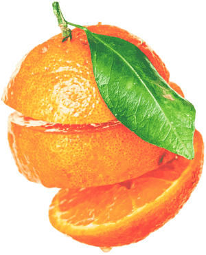 bbs-slices-of-orange-phone