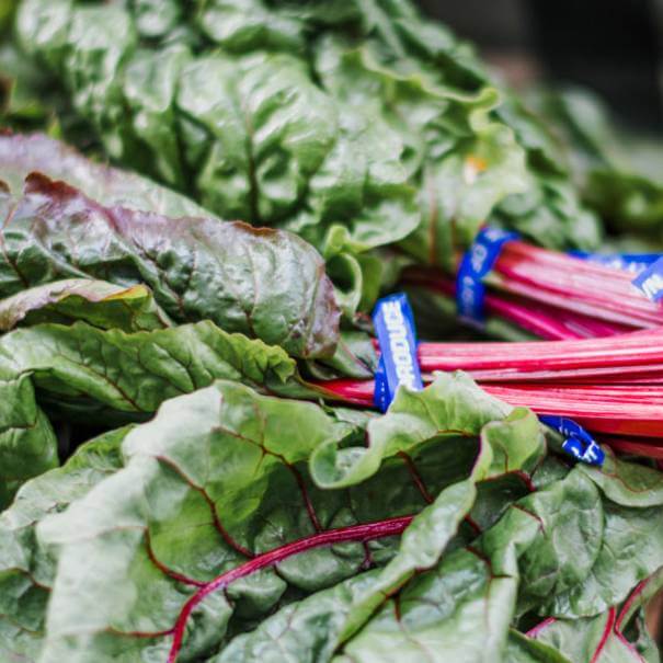 red-climbing-spinach-phone