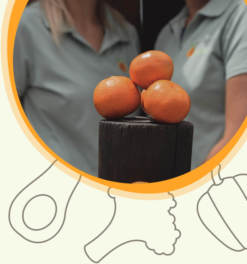 healthy-oranges-on-display-phone